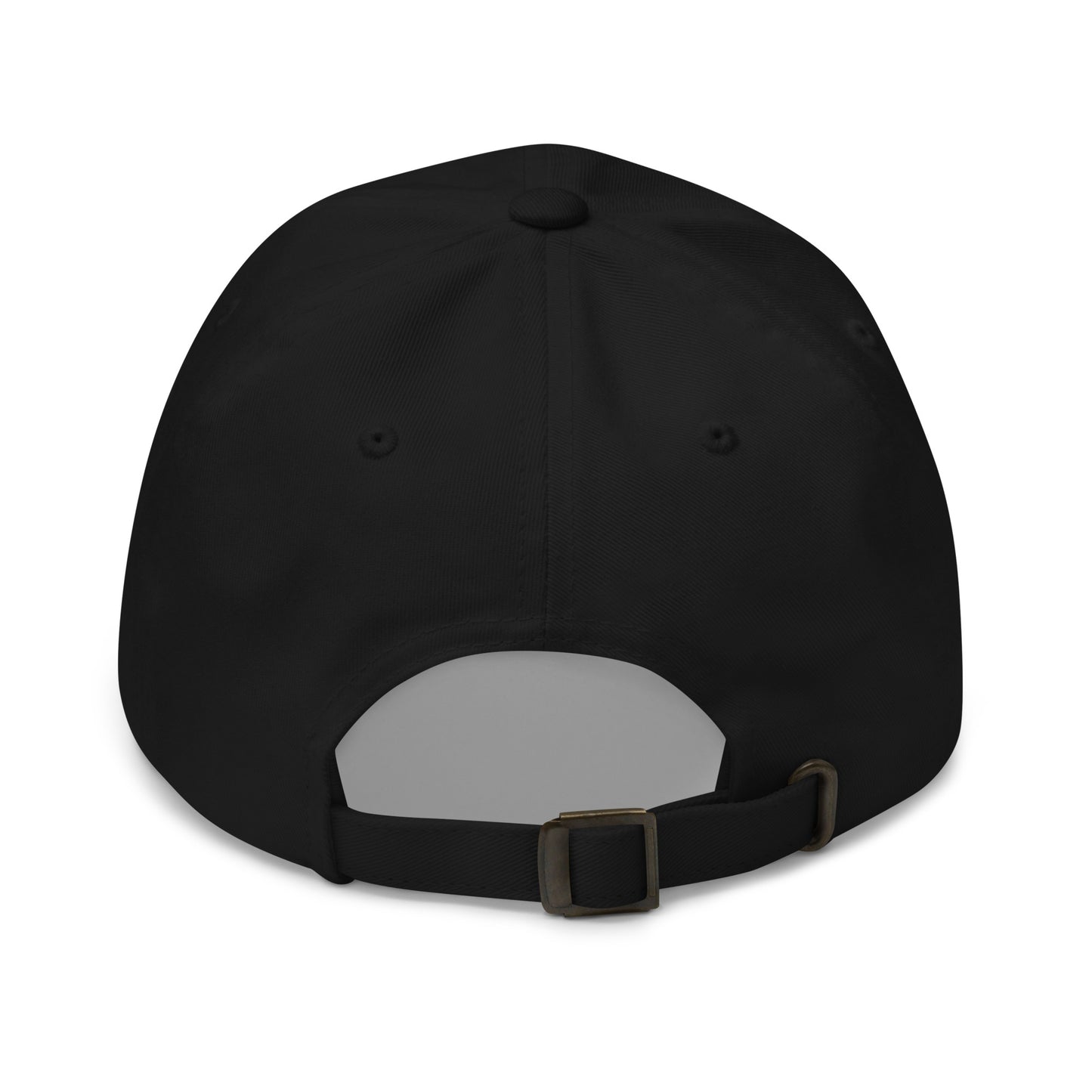 Stormwater is One Word (white)- Embroidered Dad hat