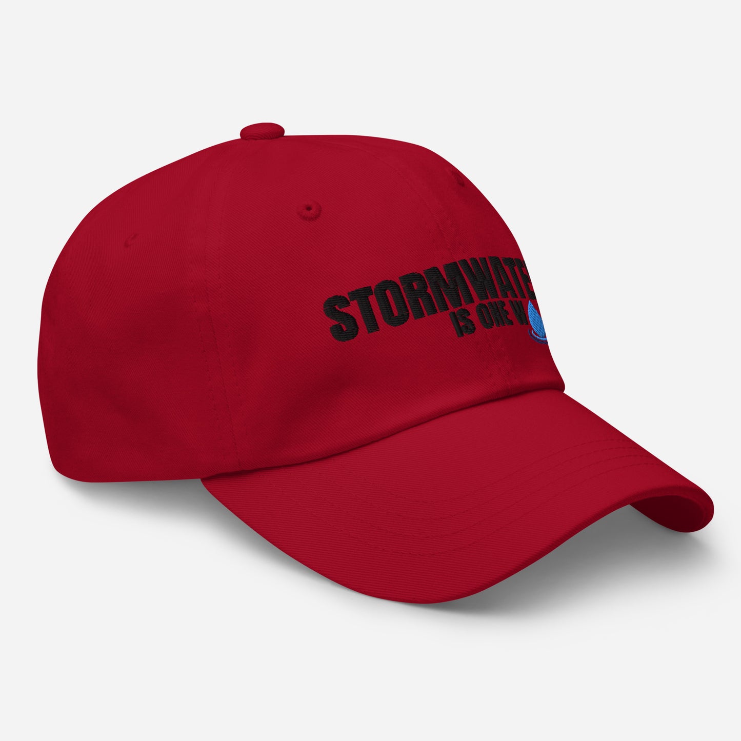 Stormwater is One Word (black) - Embroidered Dad hat