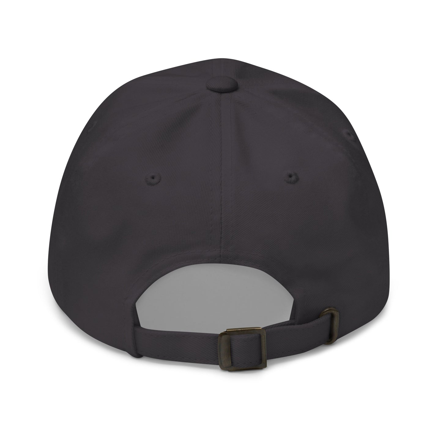 Stormwater is One Word (white)- Embroidered Dad hat