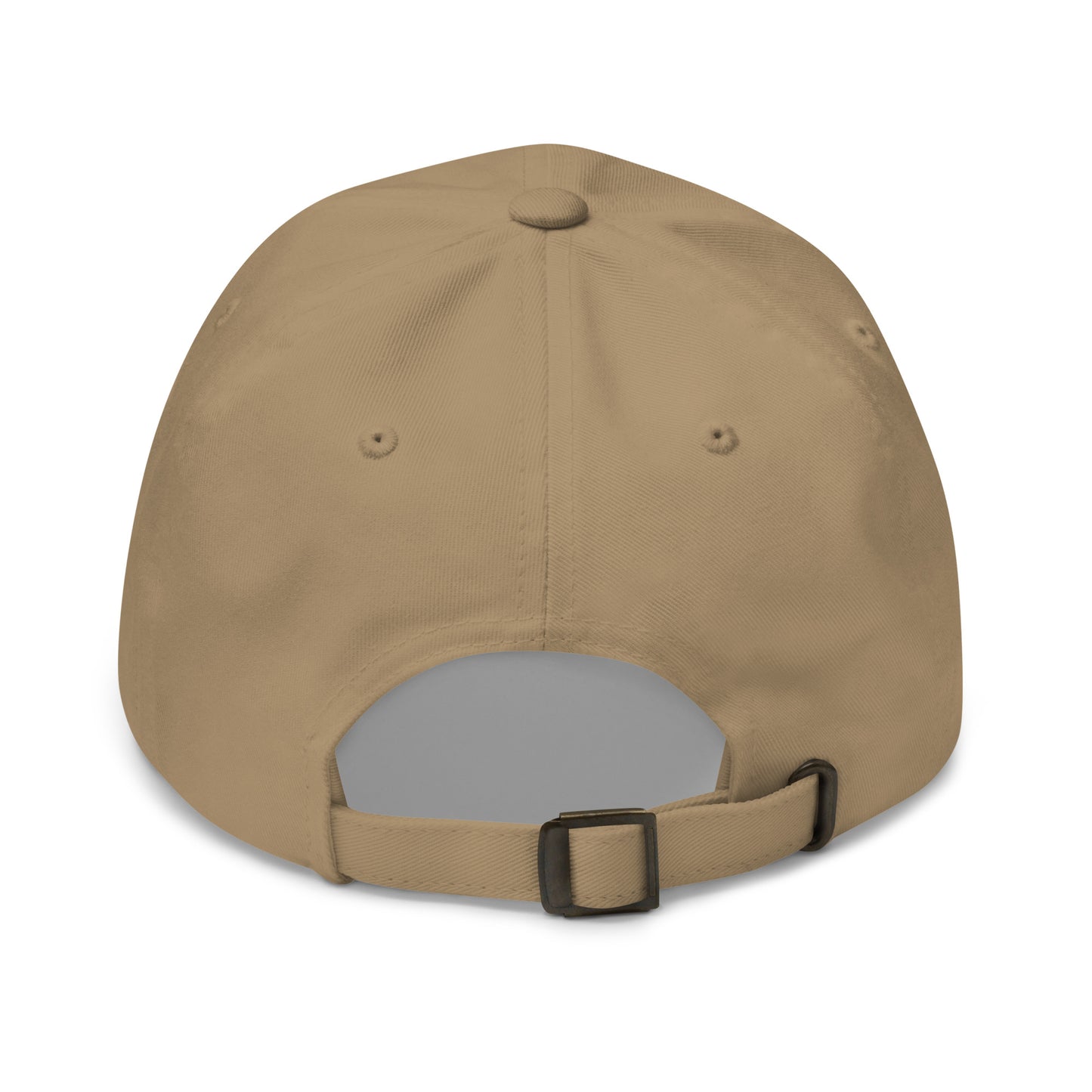 Stormwater is One Word (white)- Embroidered Dad hat