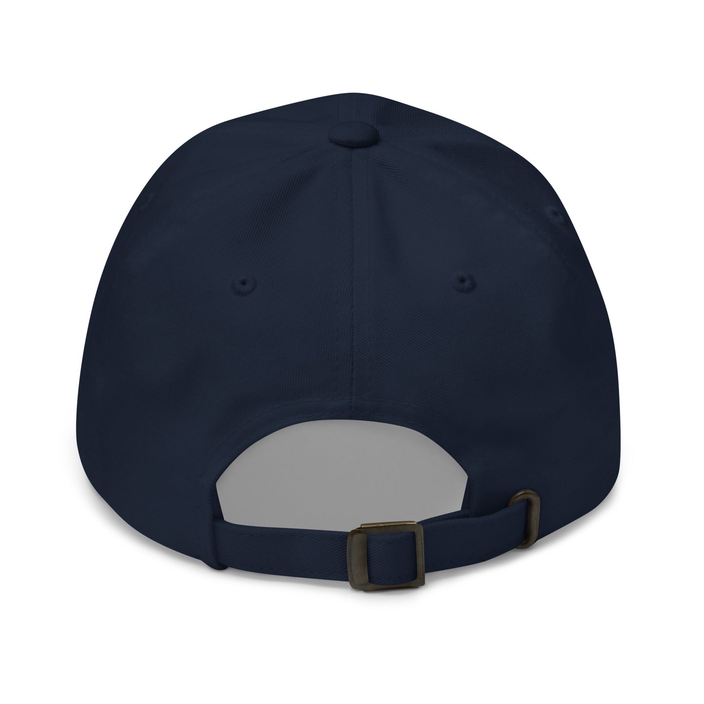 Stormwater is One Word (white)- Embroidered Dad hat