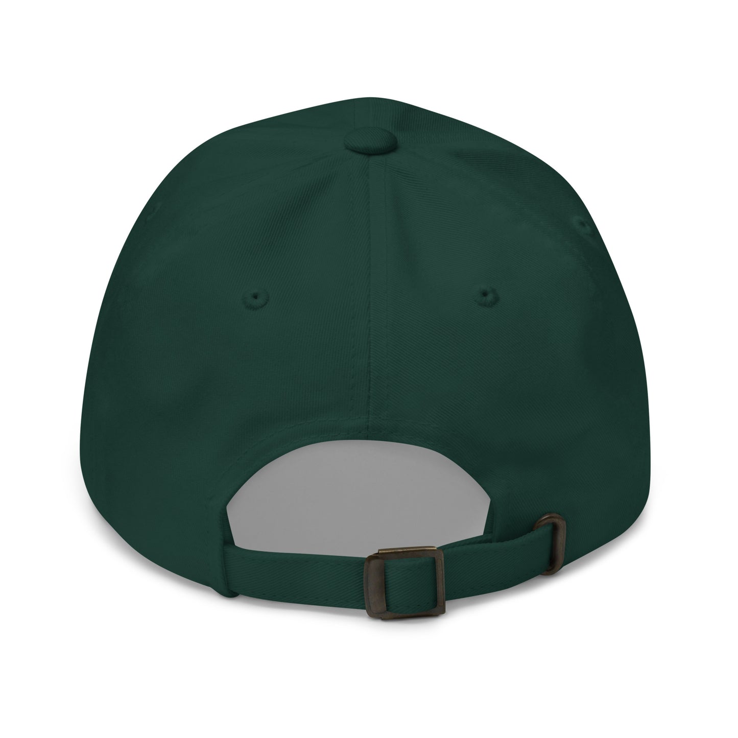 Stormwater is One Word (white)- Embroidered Dad hat