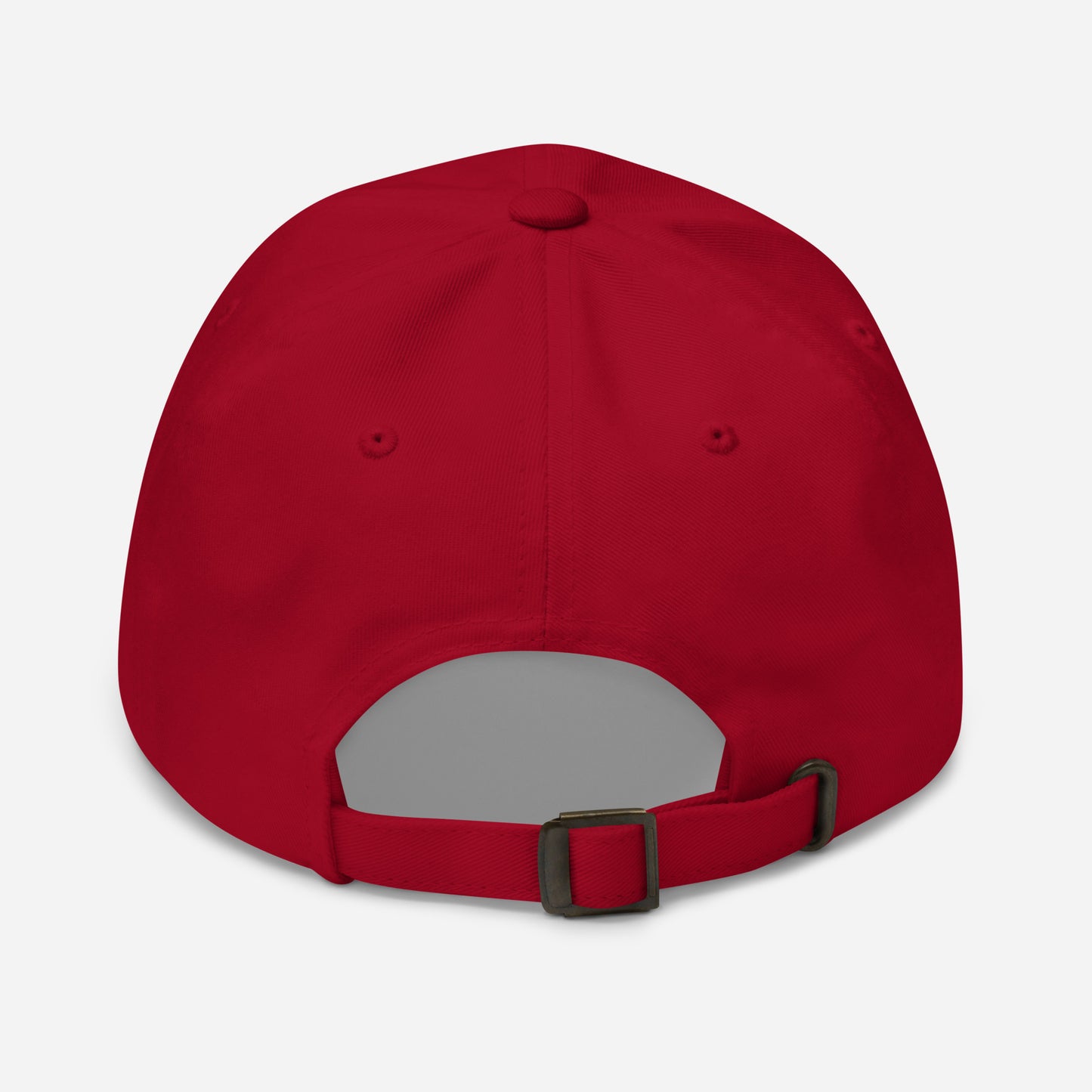Stormwater is One Word (black) - Embroidered Dad hat