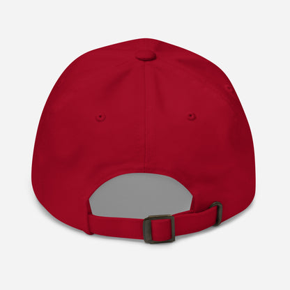 Stormwater is One Word (black) - Embroidered Dad hat