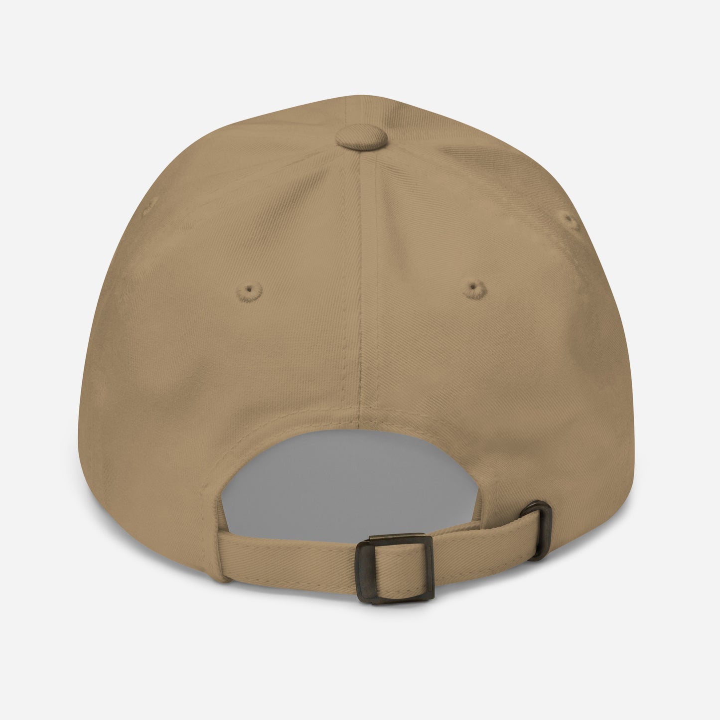 Stormwater is One Word (black) - Embroidered Dad hat