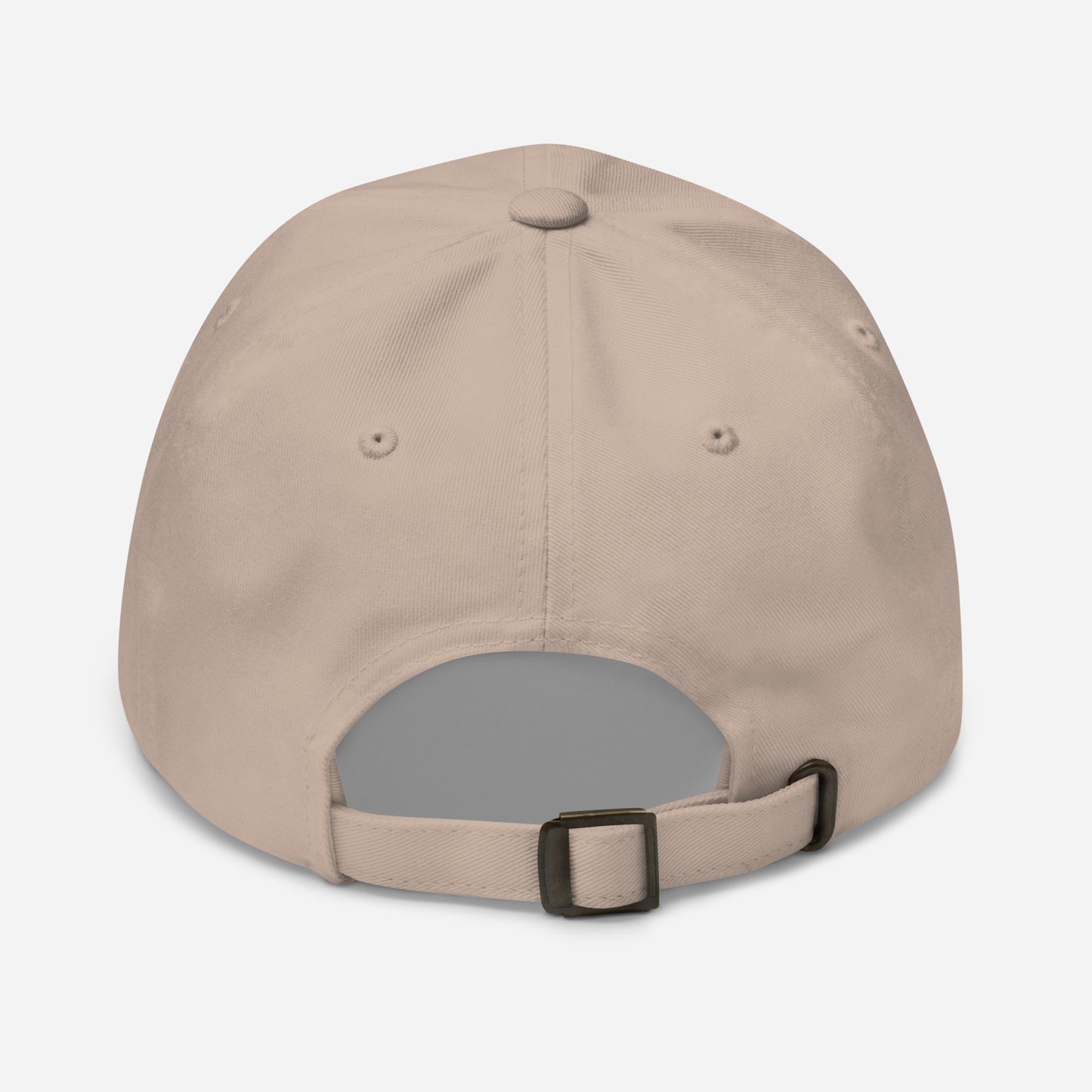 Stormwater is One Word (black) - Embroidered Dad hat