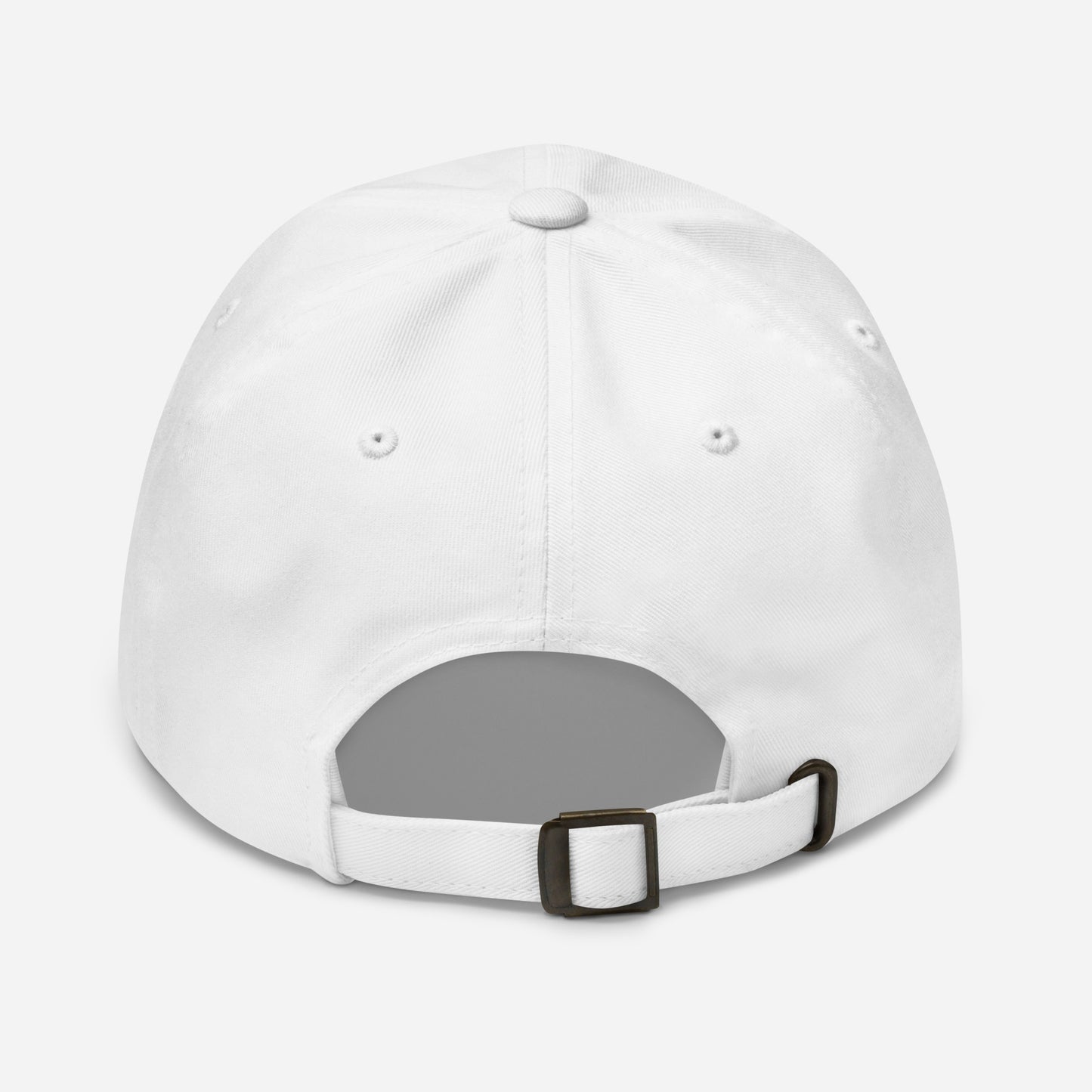 Stormwater is One Word (black) - Embroidered Dad hat