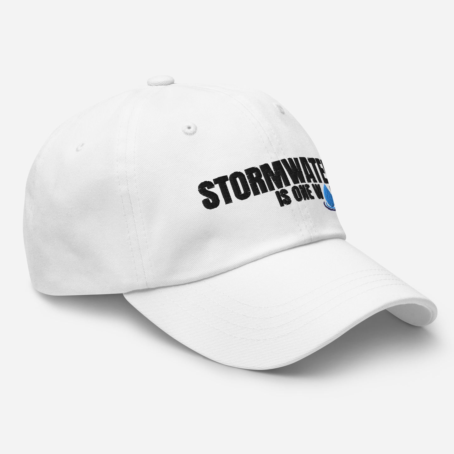Stormwater is One Word (black) - Embroidered Dad hat