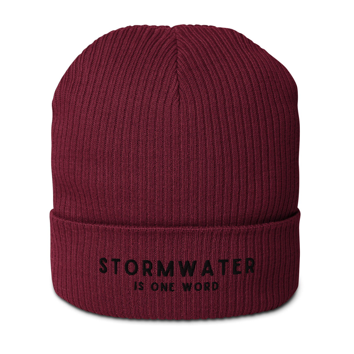 STORMWATER is One Word - Organic ribbed beanie