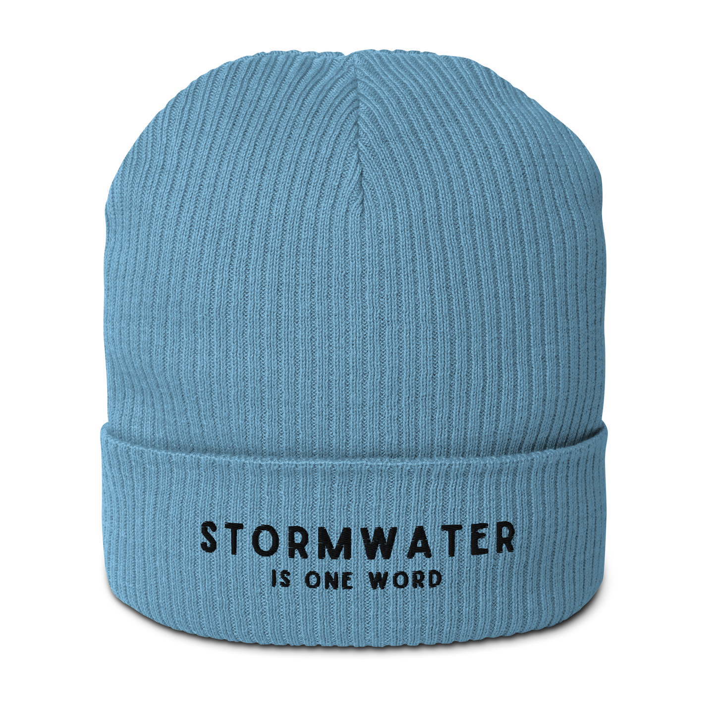 STORMWATER is One Word - Organic ribbed beanie