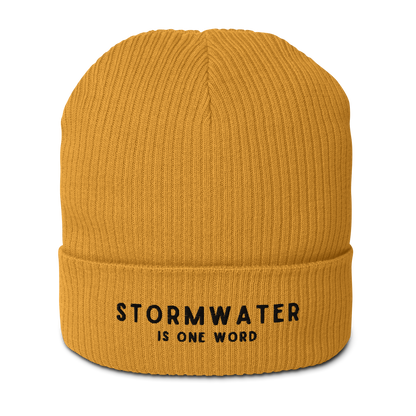 STORMWATER is One Word - Organic ribbed beanie