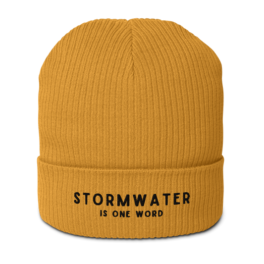 STORMWATER is One Word - Organic ribbed beanie